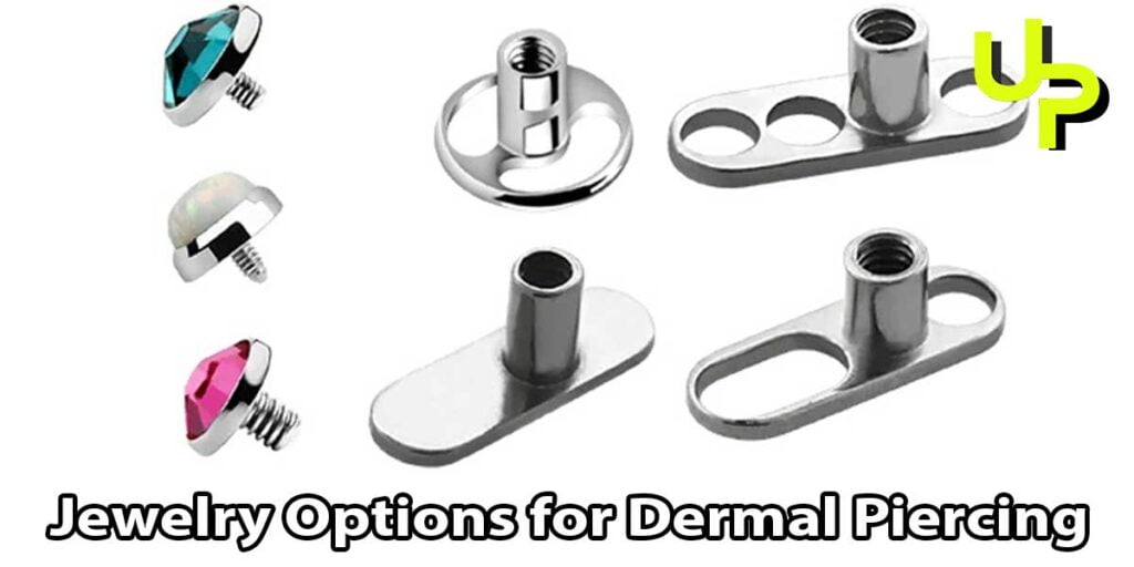 Jewelry Options for Dermal Piercing